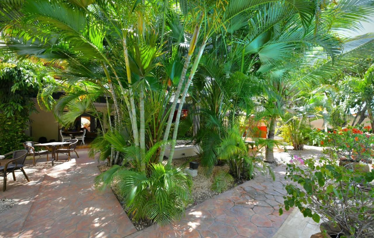 אורנג'סטאד Wonders Boutique Hotel מראה חיצוני תמונה