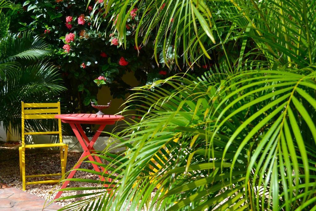 אורנג'סטאד Wonders Boutique Hotel מראה חיצוני תמונה